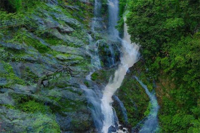 守护飞行城堡